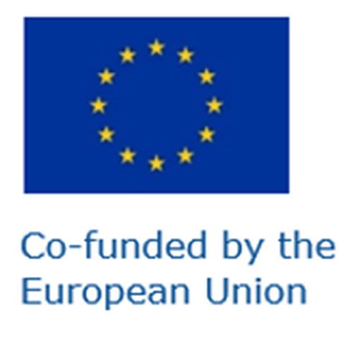 Co-funded by the European Union