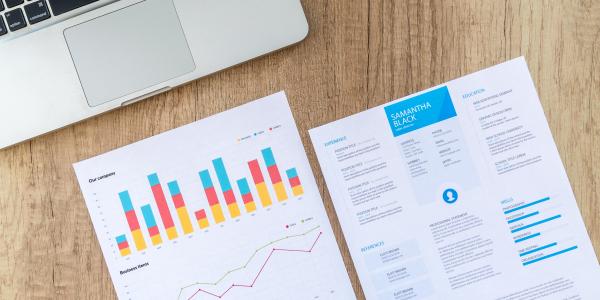 Fogli con grafici e dati statistici