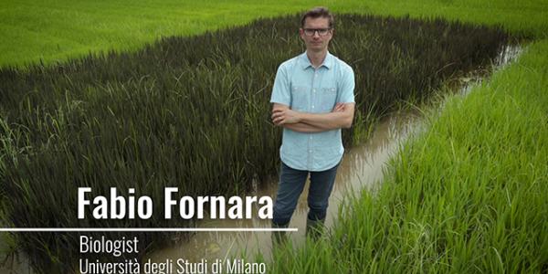 Fabio Fornara - Immagine tratta da La Statale video