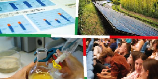 collage immagini di ricerca e orientamento
