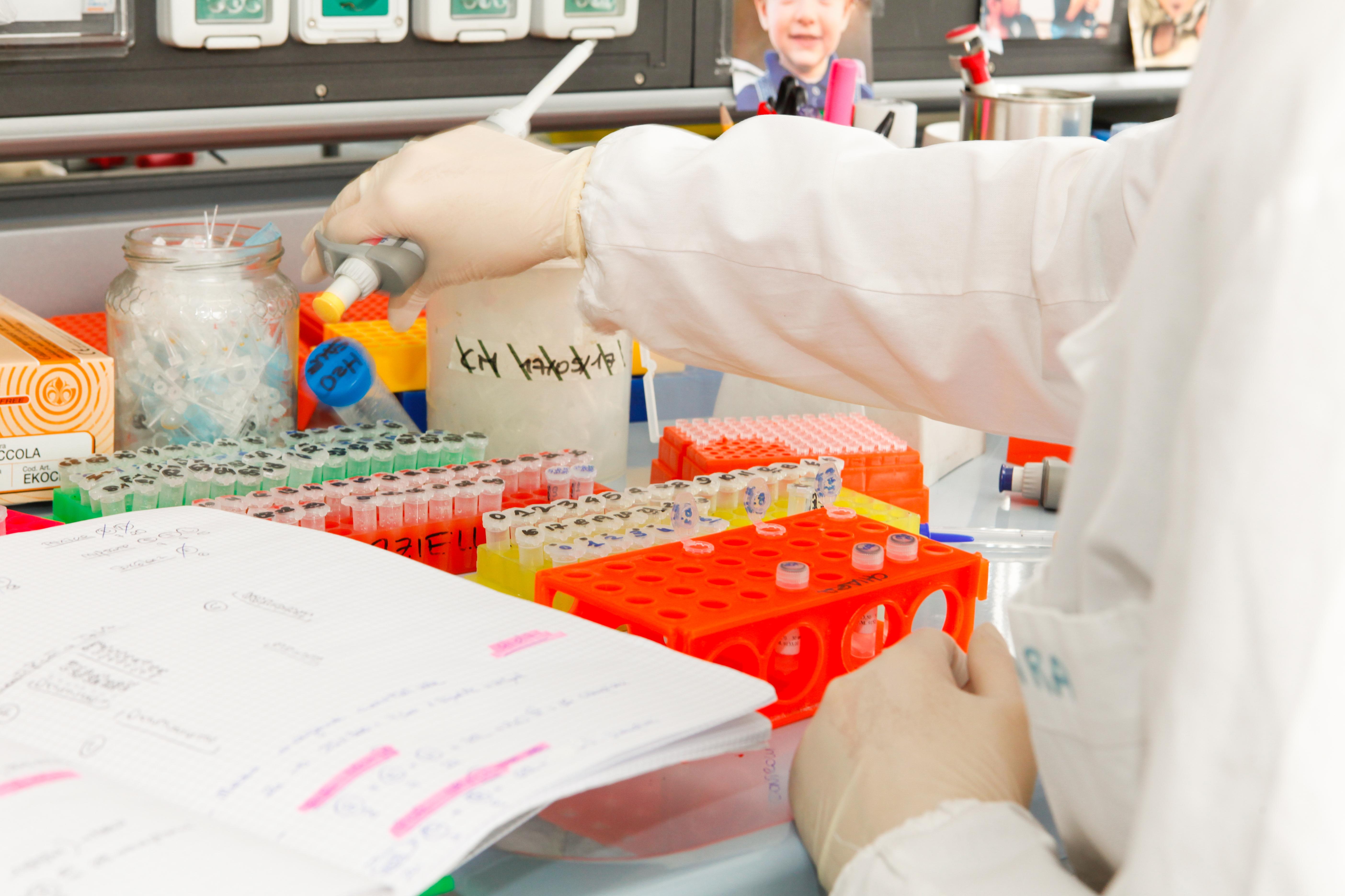 attività di laboratorio