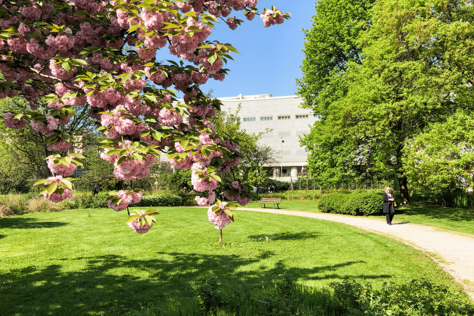 Sentiero Orto Botanico Città Studi