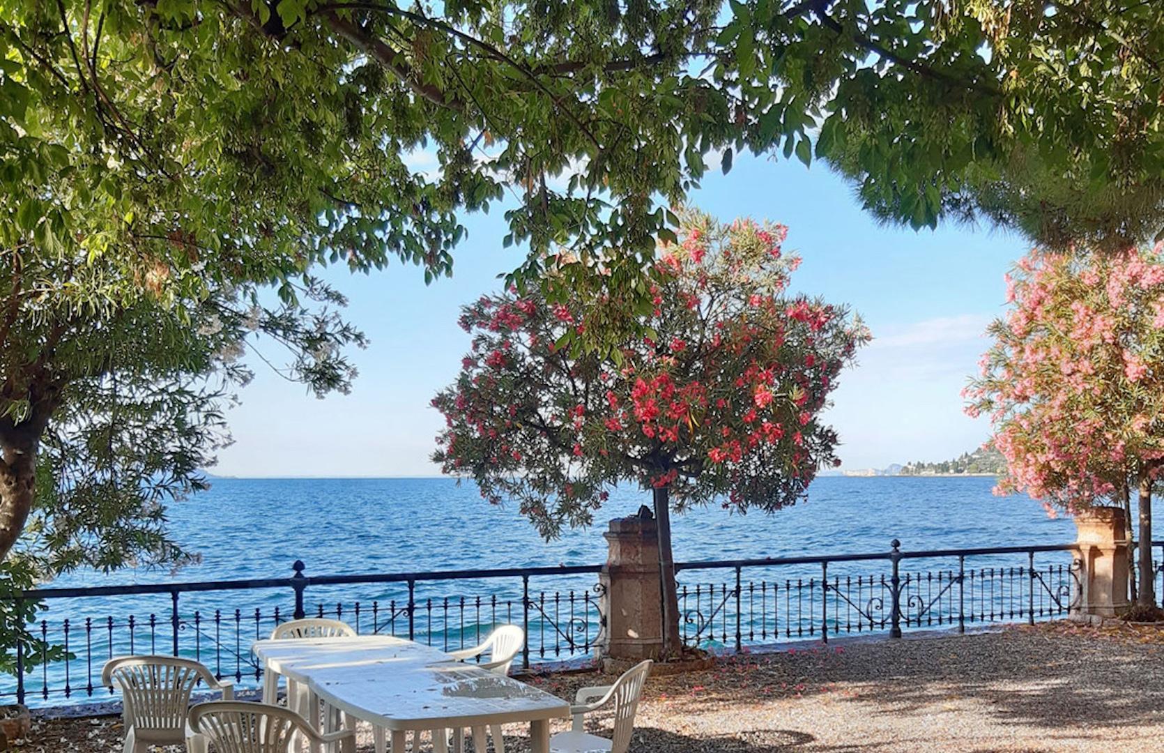 Ampio giardino a Gargnano sul lago di Garda