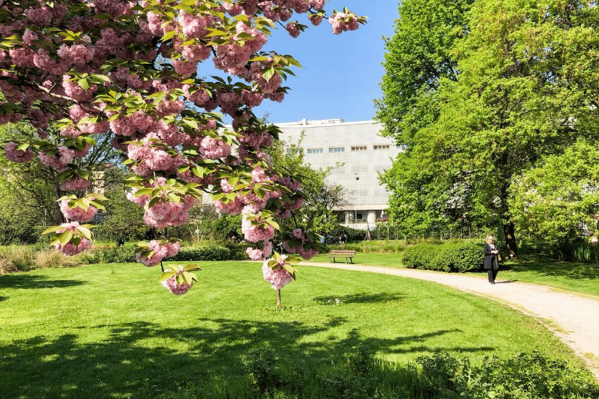 Orto botanico di Città Studi