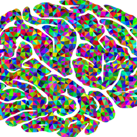 Cervello colorato - Immagine tratta da Pixabay