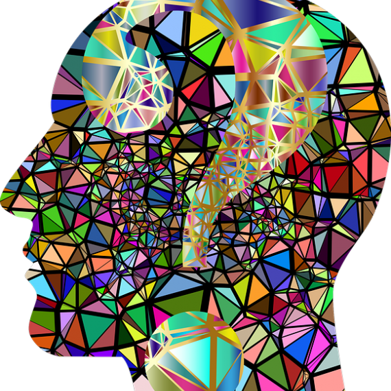 Profilo testa colorato - Immagine tratta da Pixabay
