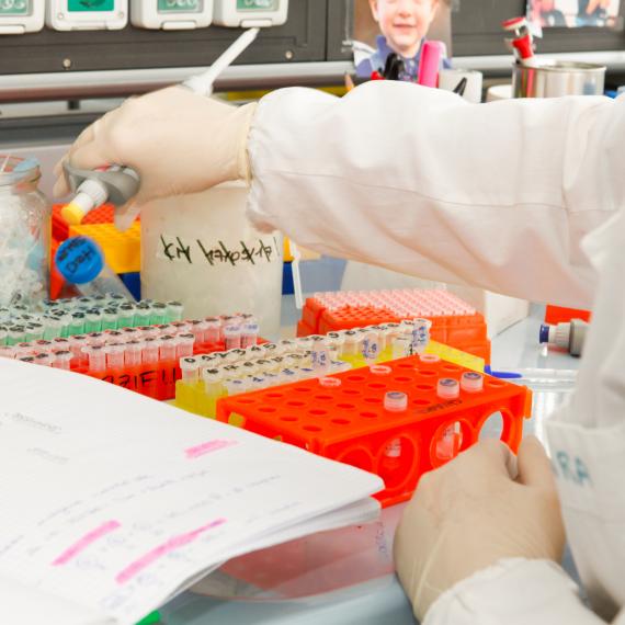 attività di laboratorio