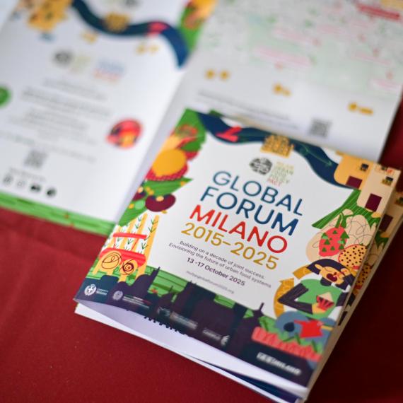 Materiali del Global Forum
