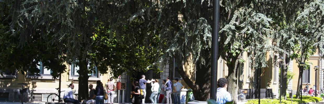 Foto di alberi sul viale